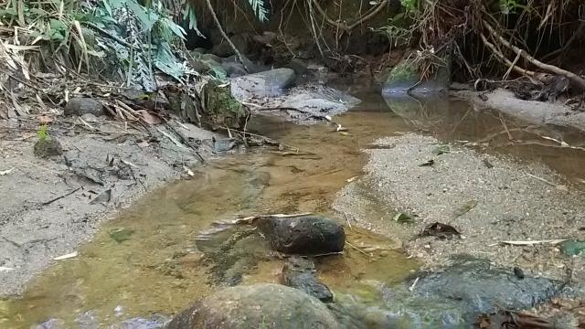 Vendo chácara próximo a Curitiba frente para BR 376 - Foto 6