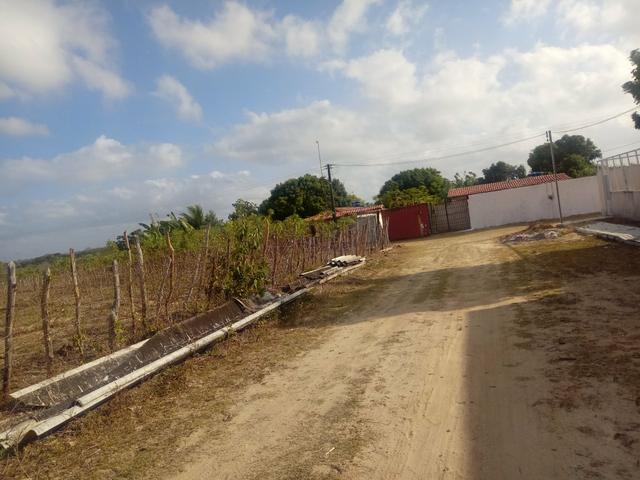Terreno - Foto 6