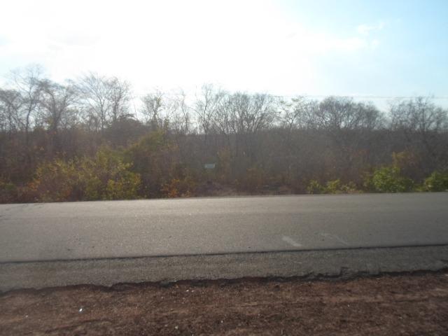 Terreno na BR-PI 214 Luzilândia/Esperantina - Foto 15