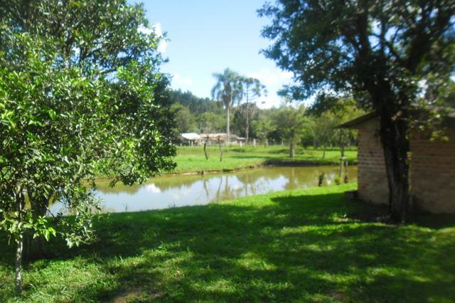 Vende-se chácara em cai de baixo - Quitandinha (cód. A289) - Foto 16