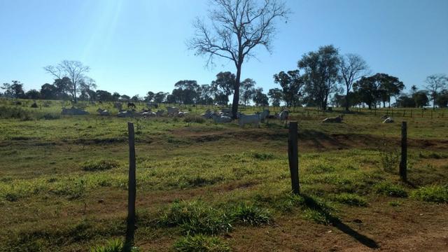 Fazenda