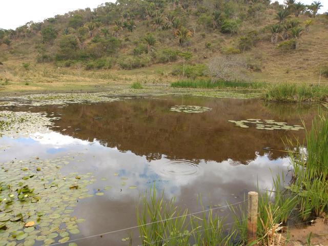 Fazenda a venda - Foto 3