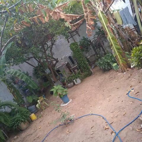Casa e Ponto Comercial em Sobral Ce - Foto 2