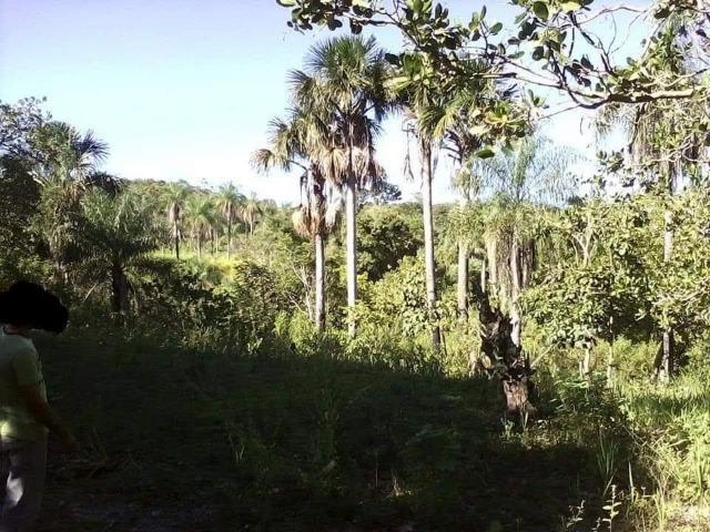 Fazenda de 170 hectares. São Gabriel do Oeste - Foto 8
