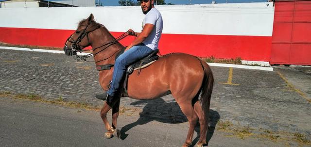 Cavalo Lazão Baixeiro.