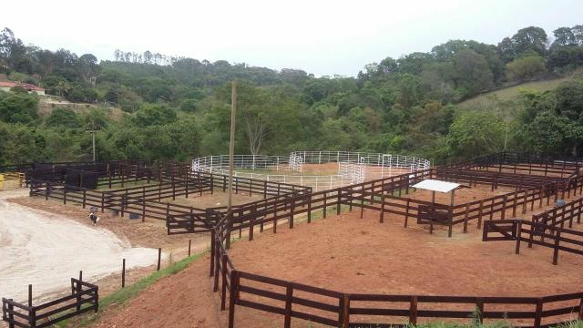 Pista de Ranch Sorting - Foto 4