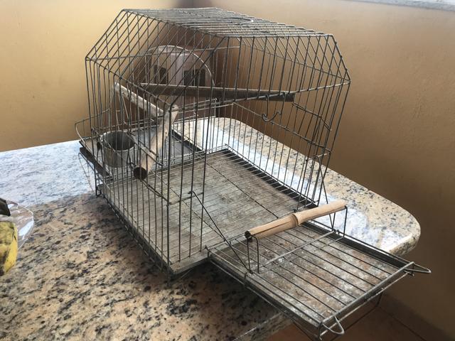 Gaiola para Calopsita, Maritaca, Periquito ou Papagaio - Foto 3