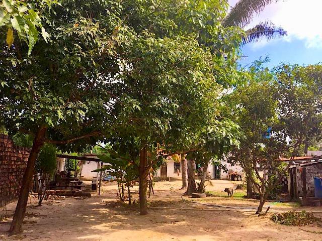 Sítio Casas Comércio - Foto 20