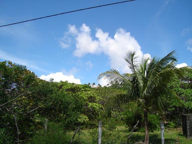 Vendo Terreno na Praia de Genipabú - Foto 3