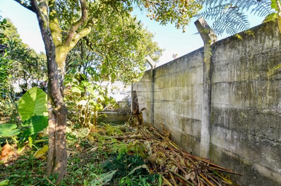 Terreno à venda em Sao lourenco, Curitiba cod:143184 - Foto 17