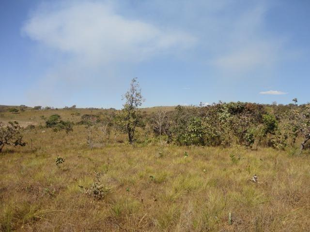 Chácaras de 2 hectares Entrada+Parcela Localizado no Santo Antônio do Descoberto - Foto 4