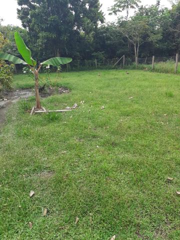 Vende ser essa mini chácara .Tei poço artesiano. vende ser por 18 mil - Foto 5