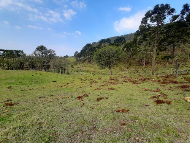 Sítio com Linda Vista em Rio Rufino - Foto 10