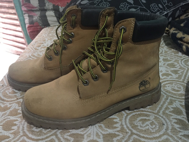 nova timberland