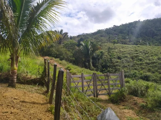 Vendo excelente fazenda em Presidente tranquedo Neves