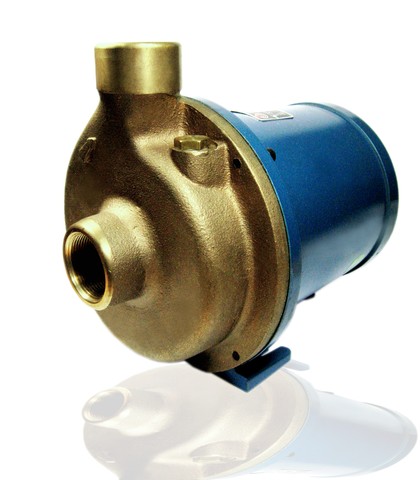 Eletrobomba Sanitária Até 70 Graus 15/1 S 220v Bomba Rowa - Foto 3