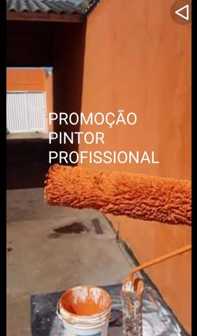 PINTOR PROFISSIONAL  - Foto 4