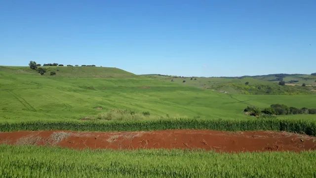 Fazenda 105 alqueiro 