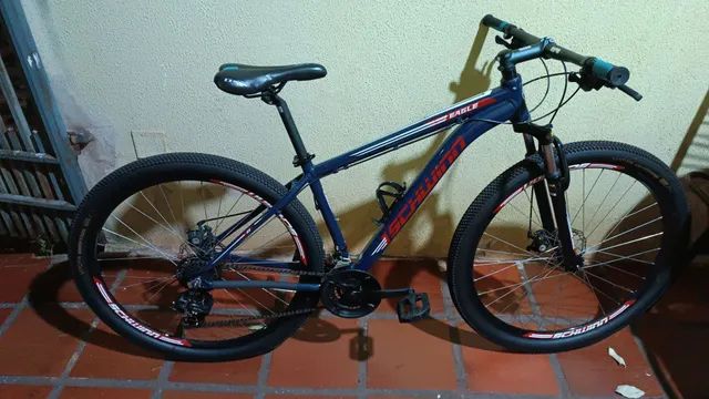 schwinn eagle a20