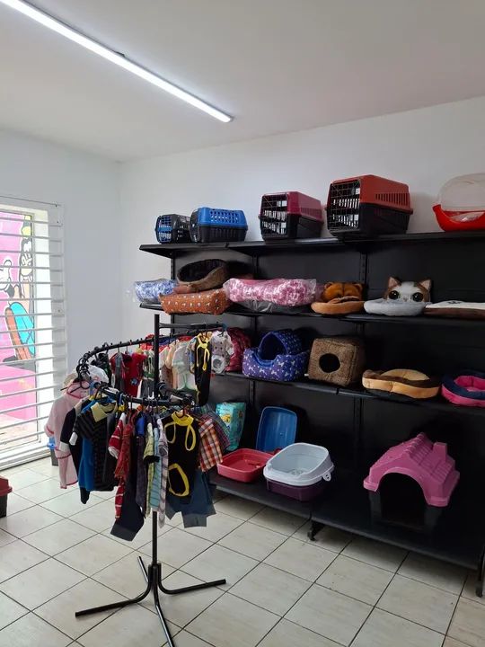 PETSHOP / BANHO E TOSA MONTADO NA SILVA JARDIM - Foto 3