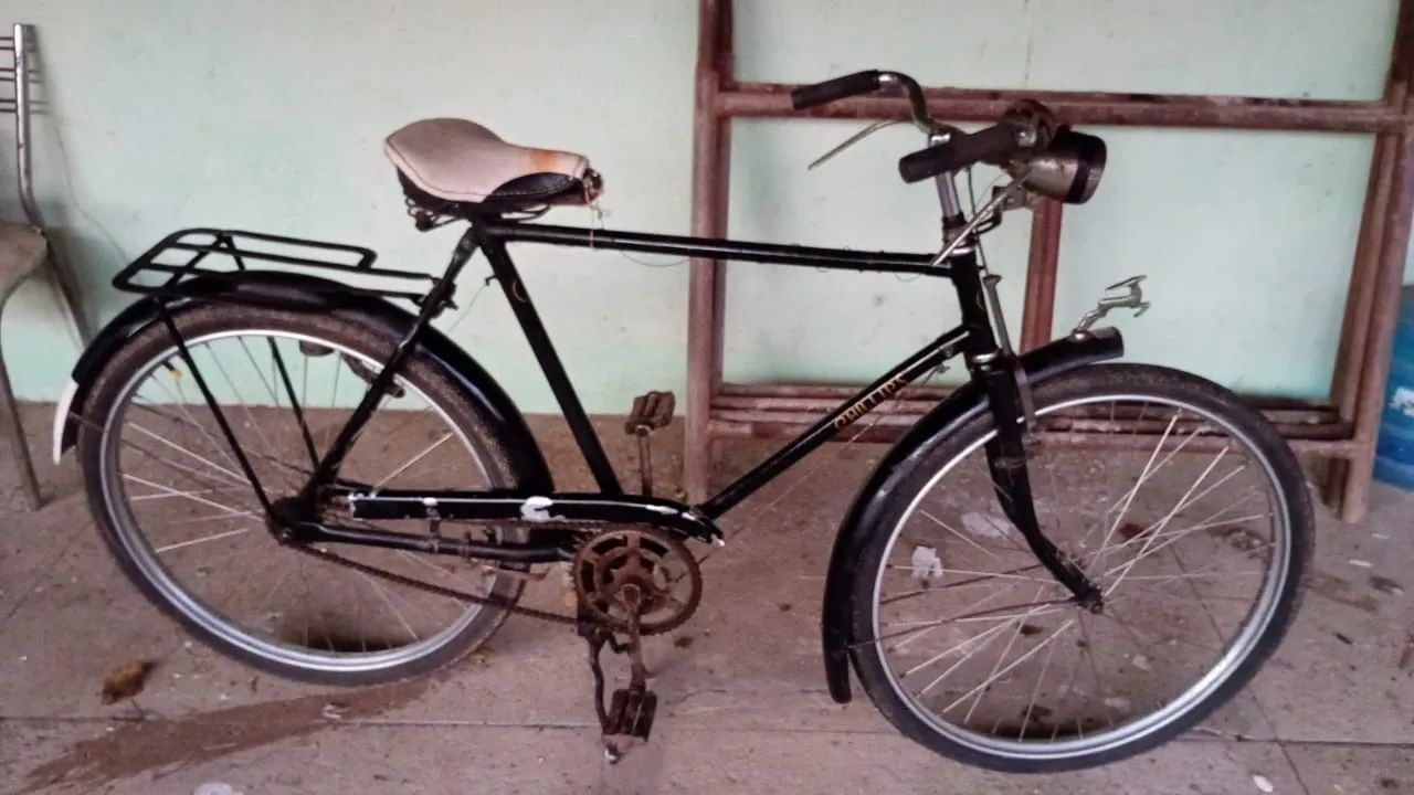 Bicicleta  Philips 