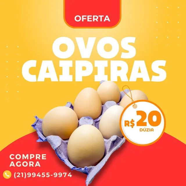 Embrapa 051 em início de postura - Foto 6