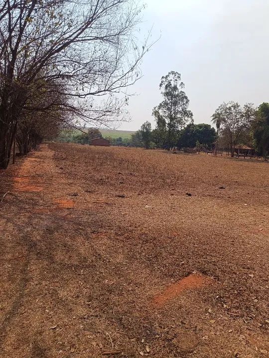 Chácara Arco Íris em Araçatuba-SP- terreno de 5000 m² - Oportunidade - Foto 2