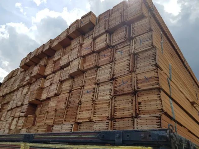 Forro de Cedro - peças curtas e longas - Foto 2