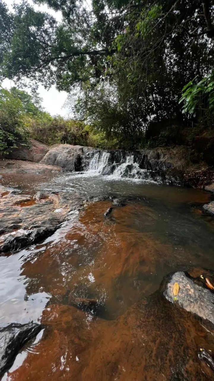 Terreno com cachoeira em florestal  - Foto 2