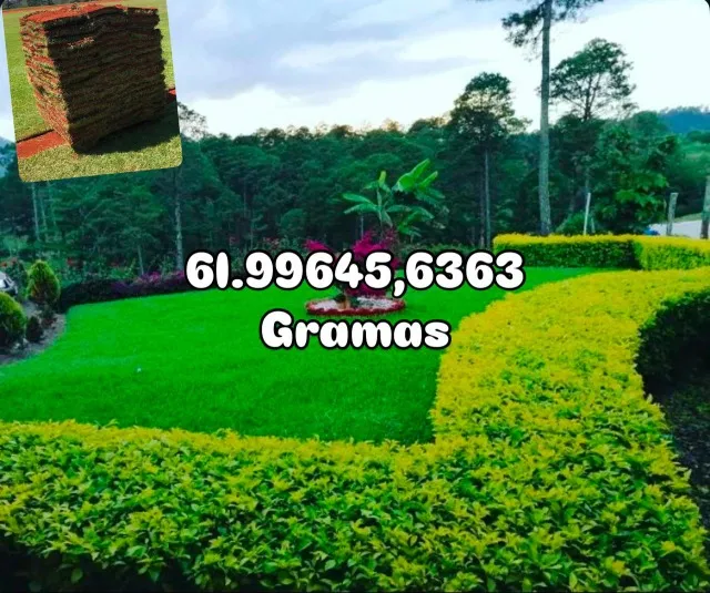 gramas grama esmeralda em 12x