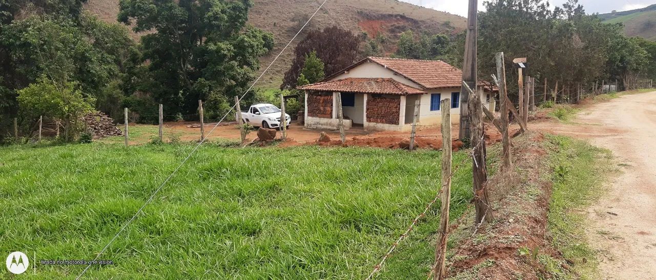 Foto - Vinhedo - João XXIII