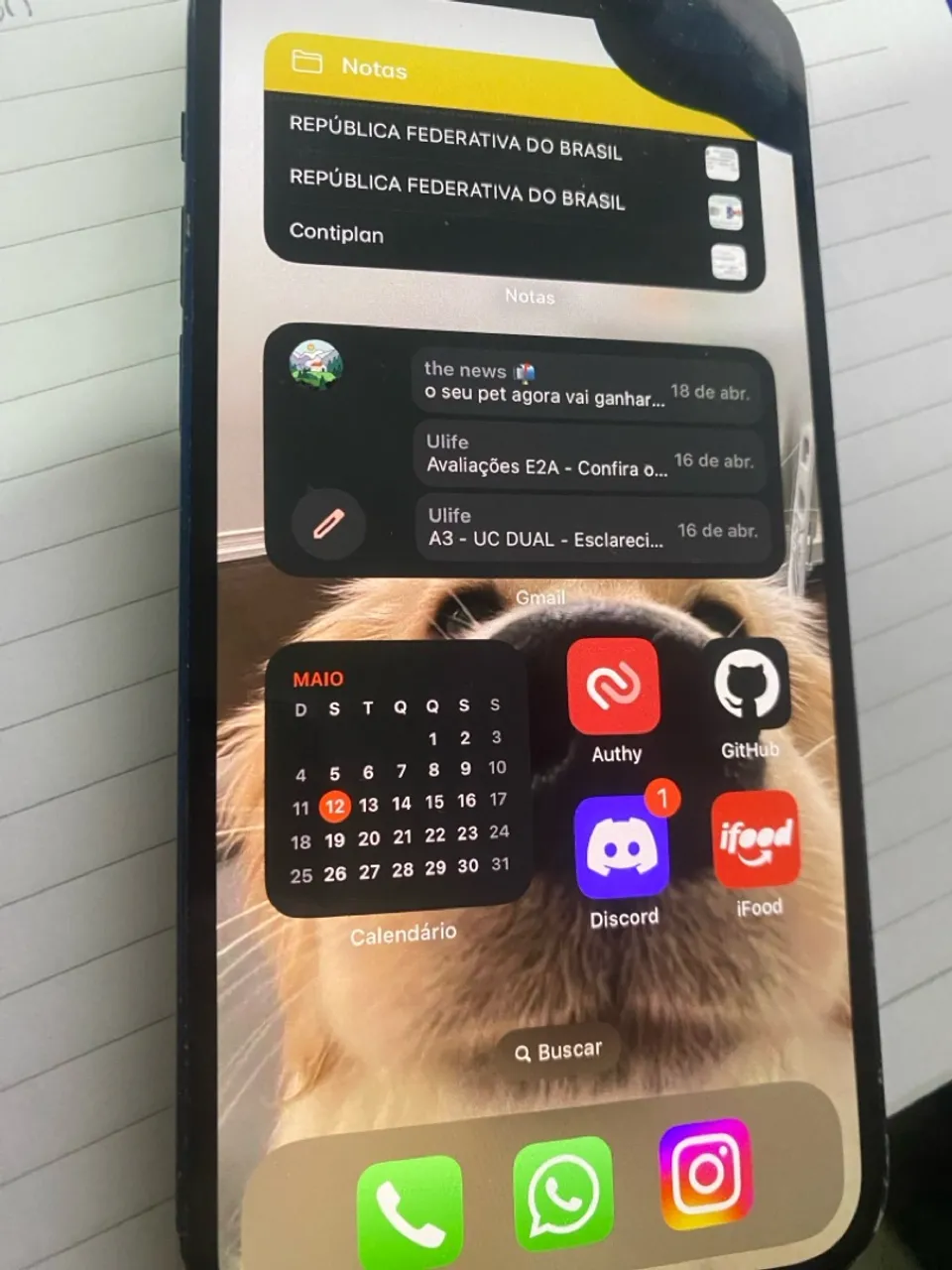 iPhone 12 vendo