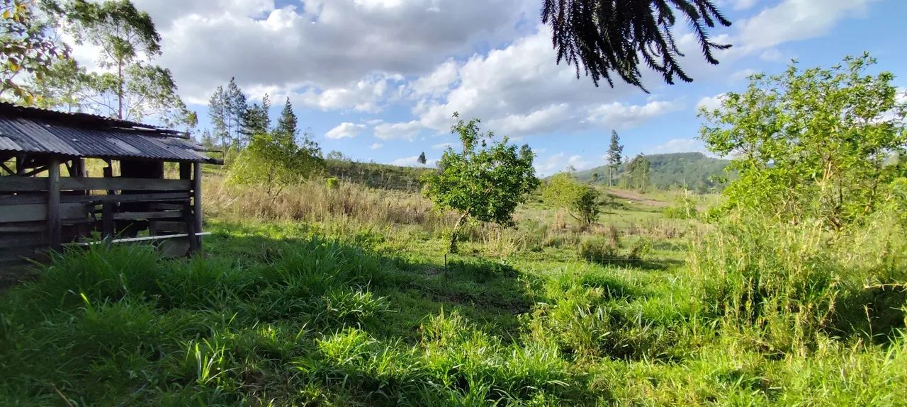 Chácara 1 hectare em Rolante RS Casa alvenaria Principal e Chacreiro Galpão Açudes - Foto 6