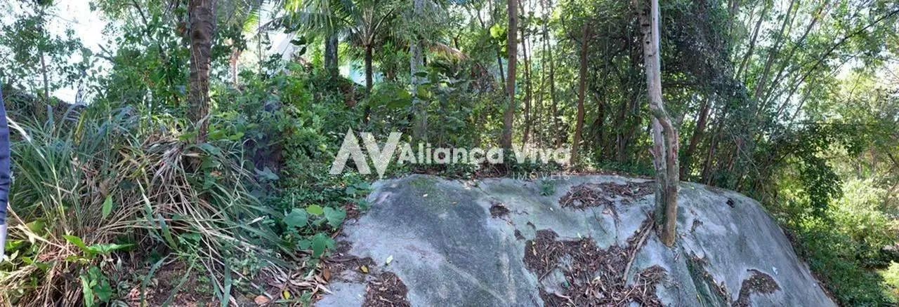 Jardim Botânico | Terreno - Foto 3