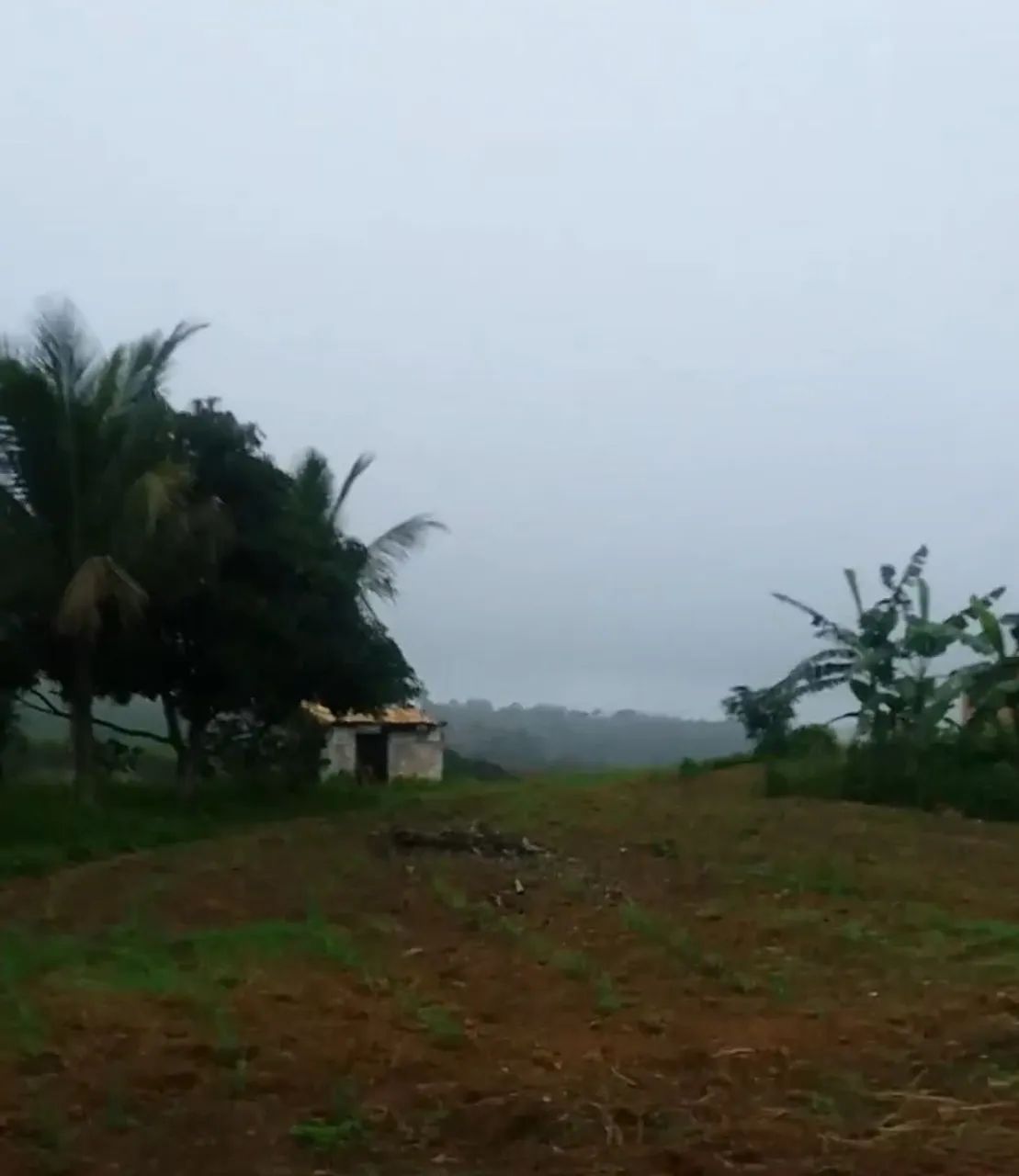 Foto - Simão Dias - 
