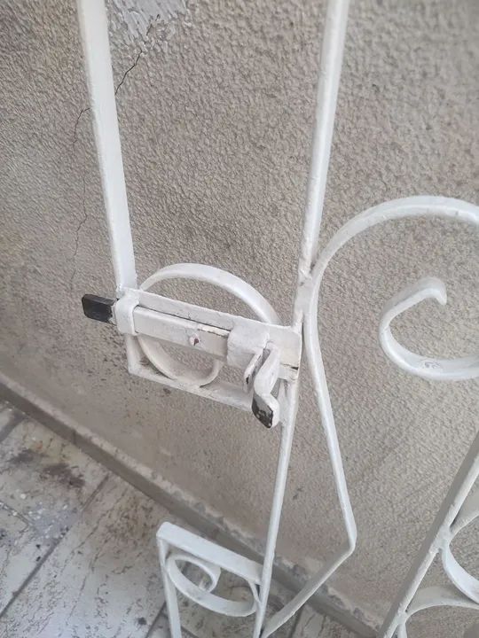 Portão de Ferro Ornamental para Jardim - Foto 4