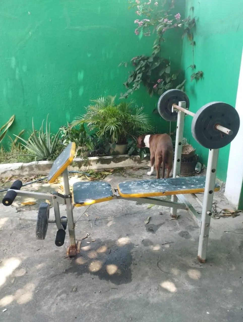 Banco de musculação com barra e anilhas - Foto 2