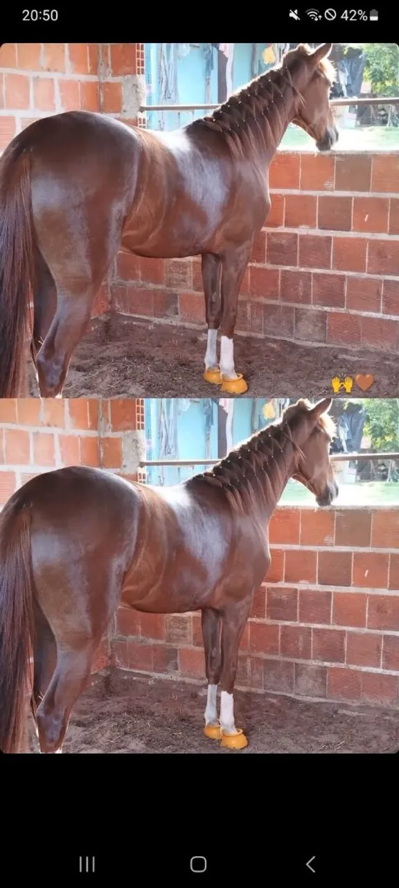 Polda 3 anos andando bem já