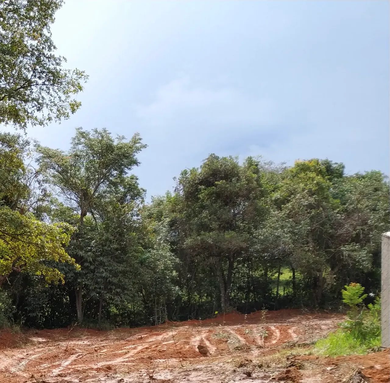 Foto - Divinópolis - Centro