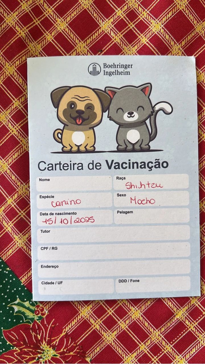 FILHOTES DE SHIH TZU TRICOLOR - LINHAGEM NOBRE - Foto 6