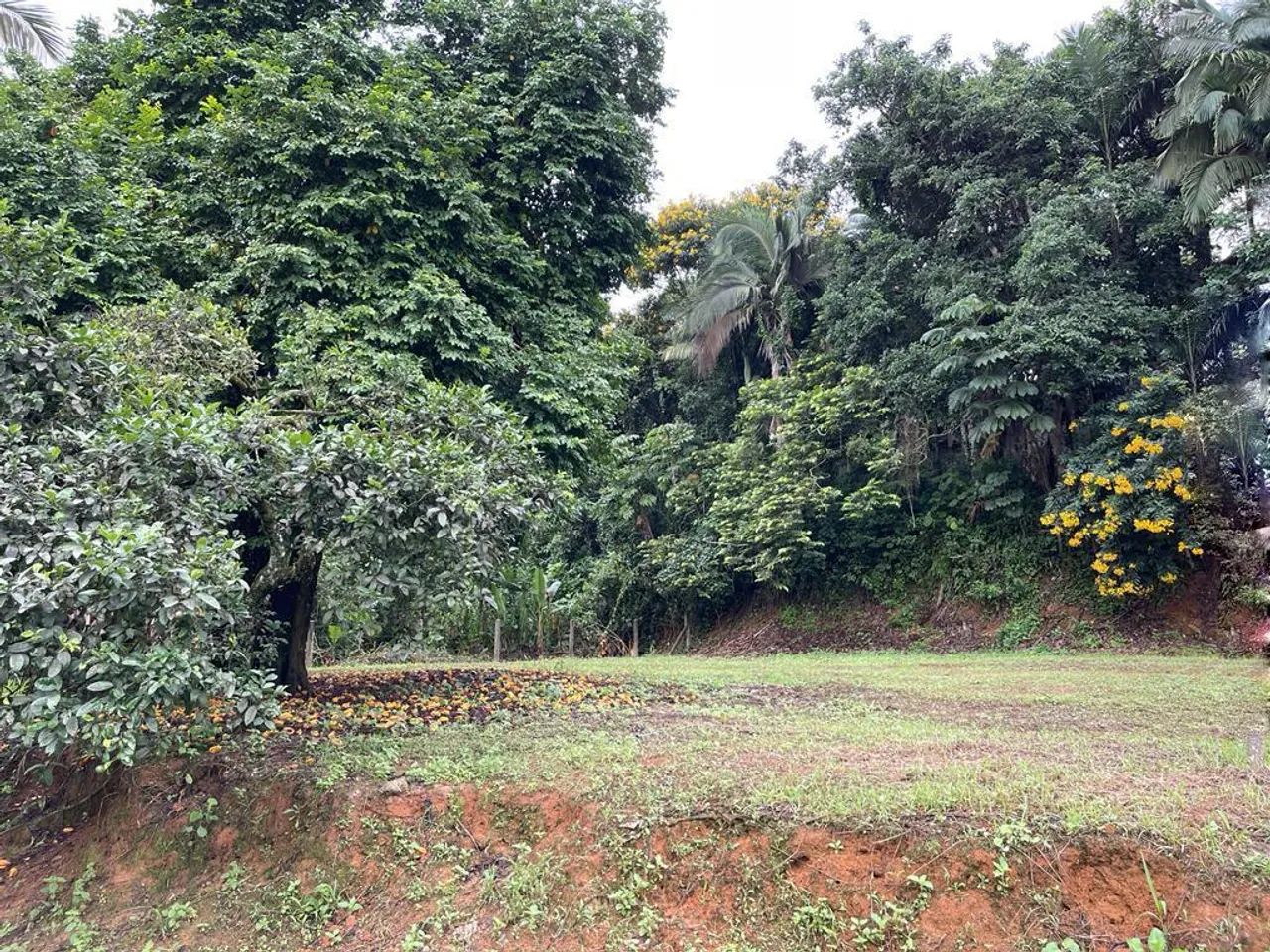 TERRENO no COSTA E SILVA com 0 quartos para VENDA, 1056 m²