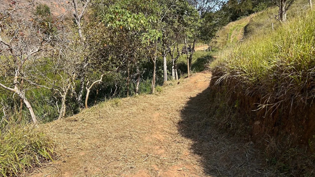 Sítio com 12 ha sendo 6,5 de eucaliptos com 12 anos  - Foto 5