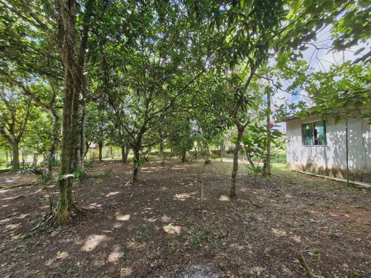 Vendo Sítio no Ramal Ninive ( alça Viária) com Igarape  - Foto 5