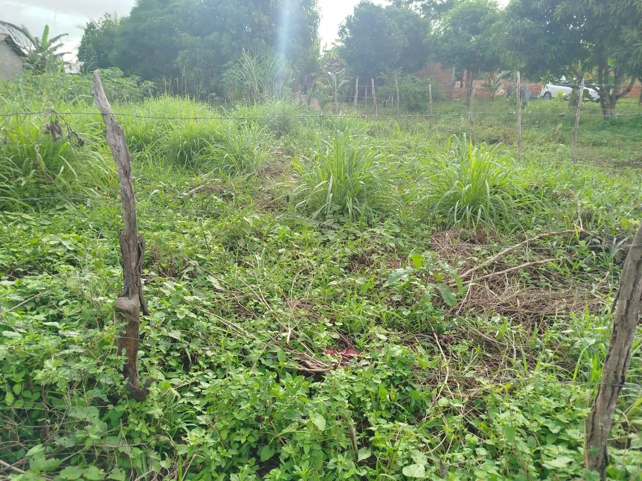 Vendo terreno em Itaporanga 