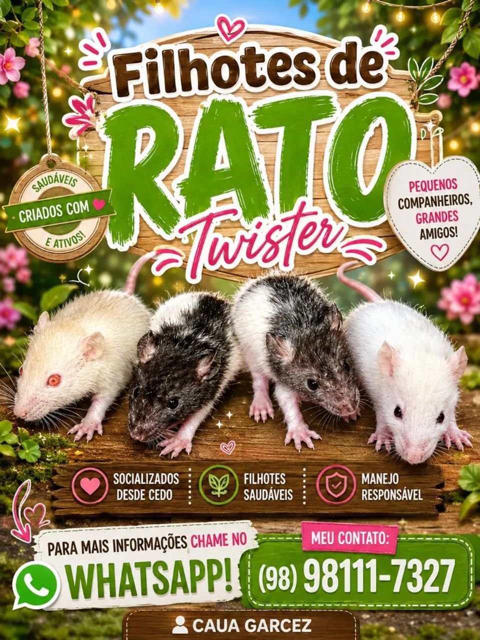 Filhotes de Rato Twister 