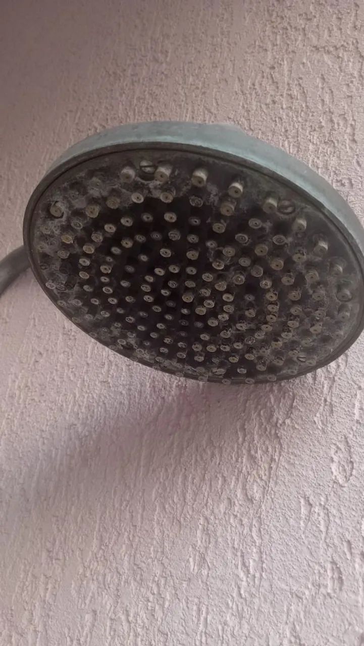 Ducha circular inox 