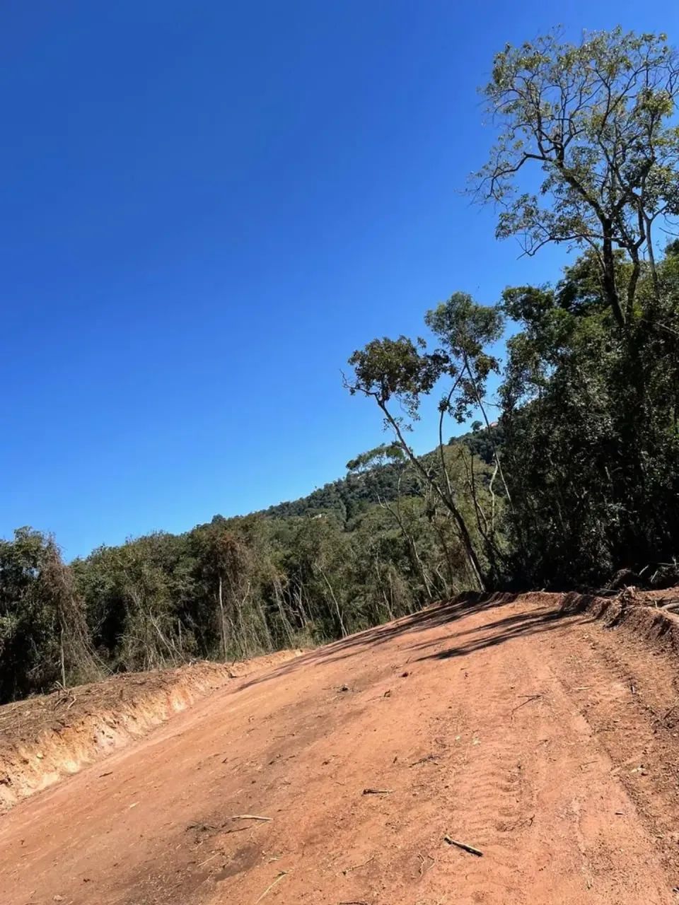 Terreno 1000m² em área nobre Saboo. - Foto 3