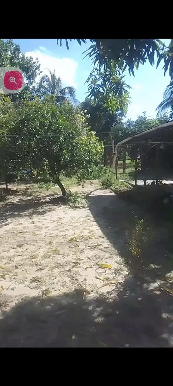 Vende-se chácara na cohab1440 M2 - Foto 4