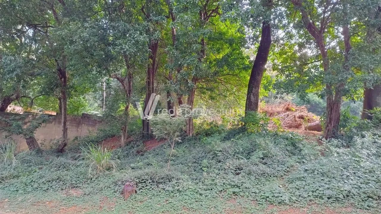 terreno - Jardim Santana - Campinas - Foto 4