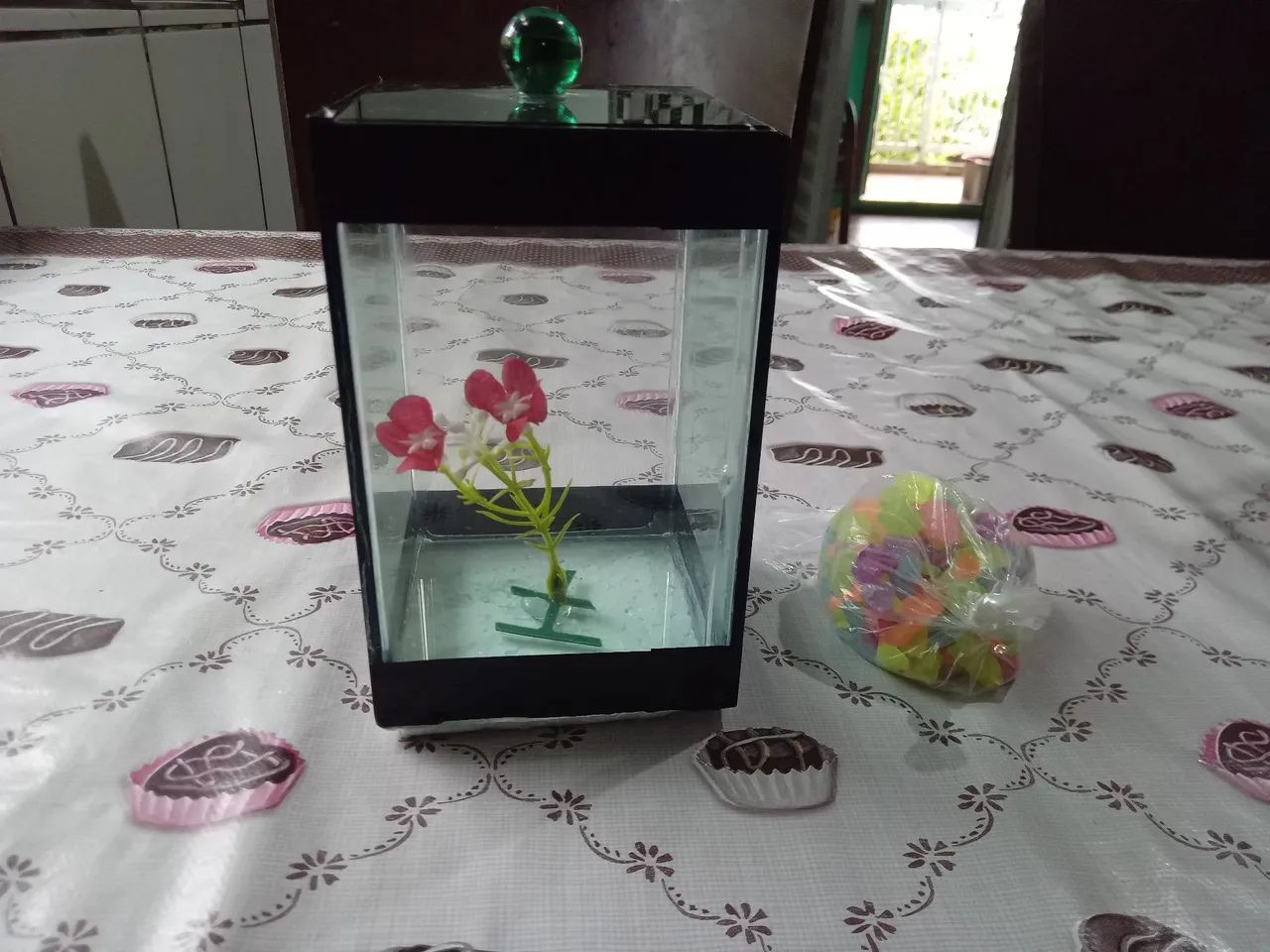 Aquário pequeno